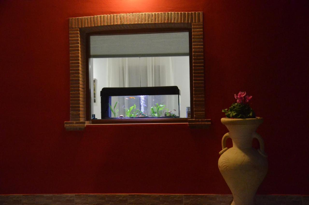 La Tana Delle Lepri Bed & Breakfast Morolo Luaran gambar